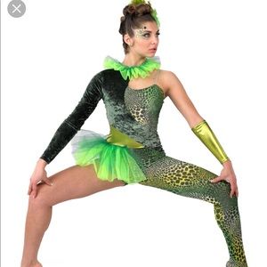 ISO: Reptile Dance costume from A Wish Come True